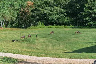 5235 313th Ave NW, Cambridge, MN 55008 - Photo 88