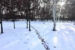 5235 313th Ave NW, Cambridge, MN 55008 - Photo 106