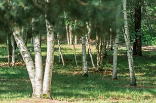 5235 313th Ave NW, Cambridge, MN 55008 - Photo 96