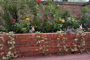 6423 Colony Way, Edina, MN 55435 - Photo 2