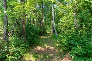 20839 State Hwy 371, Brainerd, MN 56401 - Photo 8