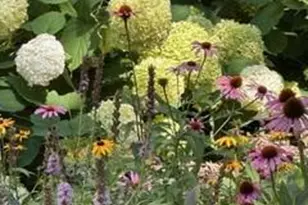 2536 Humboldt Ave S, Minneapolis, MN 55405 - Photo 36