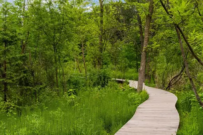 219 Morgan Avenue N, Minneapolis, MN 55405 - Photo 58