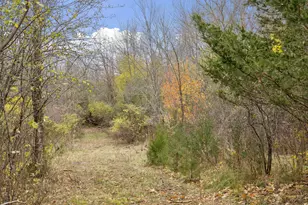 285 N Old Crystal Bay Rd, Orono, MN 55356 - Photo 18