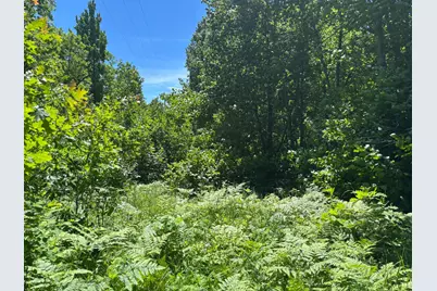 Tbd Fawn Trail NE, Longville, MN 56655 - Photo 10