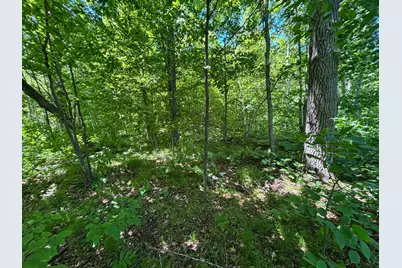 Tbd Fawn Trail NE, Longville, MN 56655 - Photo 4