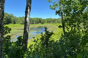 Tbd Fawn Trail NE, Longville, MN 56655 - Photo 1