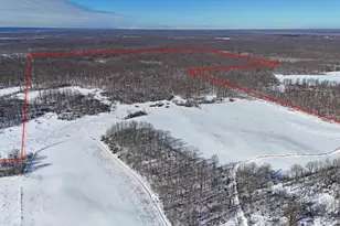 3231 Hwy 65, Mora, MN 55051 - Photo 2