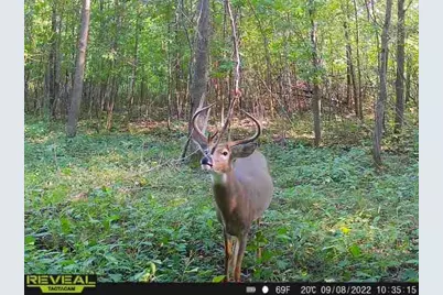 3231 Highway 65, Mora, MN 55051 - Photo 60