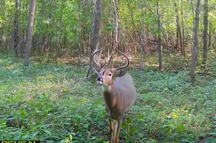 3231 Hwy 65, Mora, MN 55051 - Photo 60