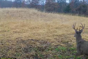 3231 Hwy 65, Mora, MN 55051 - Photo 66