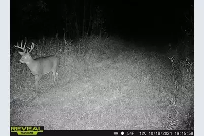 3231 Highway 65, Mora, MN 55051 - Photo 74