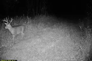 3231 Hwy 65, Mora, MN 55051 - Photo 74