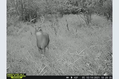 3231 Highway 65, Mora, MN 55051 - Photo 80