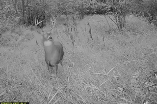 3231 Hwy 65, Mora, MN 55051 - Photo 80