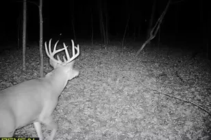 3231 Hwy 65, Mora, MN 55051 - Photo 82