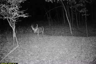 3231 Hwy 65, Mora, MN 55051 - Photo 72