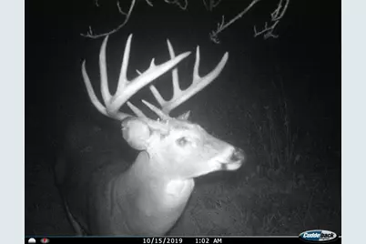 3231 Highway 65, Mora, MN 55051 - Photo 50