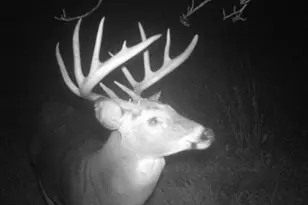 3231 Hwy 65, Mora, MN 55051 - Photo 50