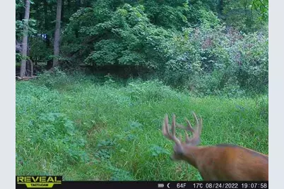 3231 Highway 65, Mora, MN 55051 - Photo 56