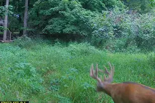 3231 Hwy 65, Mora, MN 55051 - Photo 56