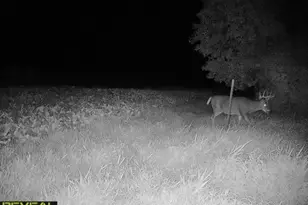 3231 Hwy 65, Mora, MN 55051 - Photo 70