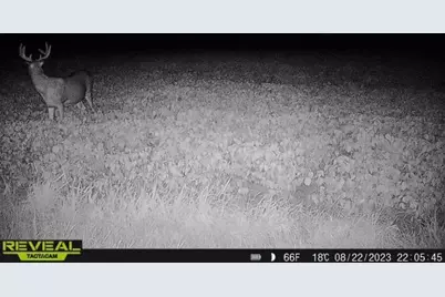 3231 Highway 65, Mora, MN 55051 - Photo 68