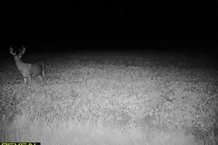 3231 Hwy 65, Mora, MN 55051 - Photo 68