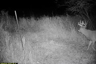 3231 Hwy 65, Mora, MN 55051 - Photo 78