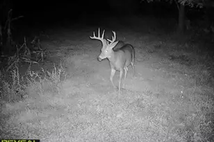 3231 Hwy 65, Mora, MN 55051 - Photo 76