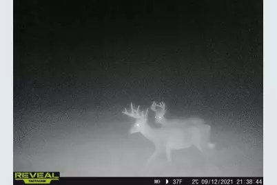 3231 Highway 65, Mora, MN 55051 - Photo 62