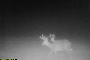 3231 Hwy 65, Mora, MN 55051 - Photo 62