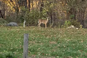 4304 Tamara Dr, Eau Claire, WI 54701 - Photo 46