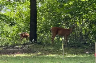 51Xx Waterbury Rd, Mound, MN 55364 - Photo 42