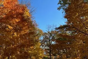 51Xx Waterbury Rd, Mound, MN 55364 - Photo 46