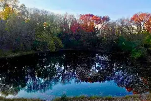 8717 Demontreville Trail N, Lake Elmo, MN 55042 - Photo 64