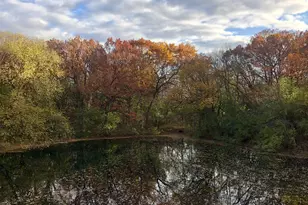 8717 Demontreville Trail N, Lake Elmo, MN 55042 - Photo 66