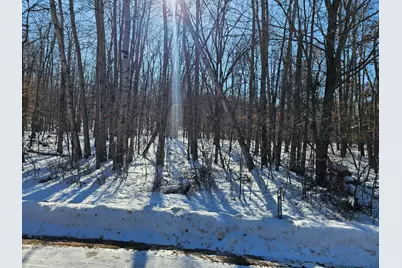 Tbd Lot 6 Irene Avenue, Ironton, MN 56455 - Photo 4