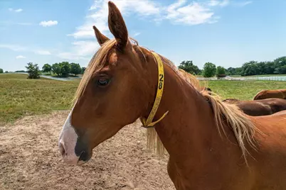 12446 190th Street, Milaca, MN 56353 - Photo 102