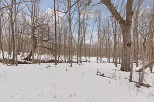 26571 Newport Ave, Webster, MN 55088 - Photo 58