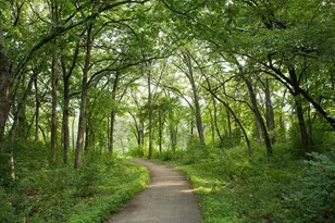 11216 Minnetonka Blvd, Minnetonka, MN 55305 - Photo 42