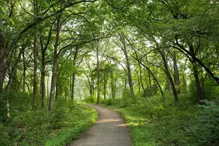 11216 Minnetonka Blvd, Minnetonka, MN 55305 - Photo 42