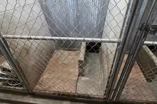 157 70 St N, Glyndon, MN 56547 - Photo 68