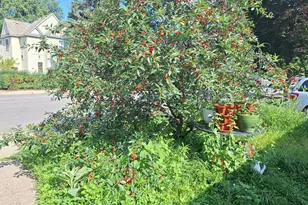 3035 Grand St NE, Minneapolis, MN 55418 - Photo 26