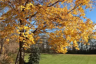 11990 Creek Ridge Ln, Chaska, MN 55318 - Photo 62