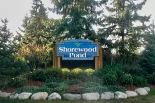 25555 Park Ln, Shorewood, MN 55331 - Photo 38