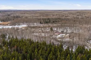 59404 Herron Rd, Bigfork, MN 56628 - Photo 36