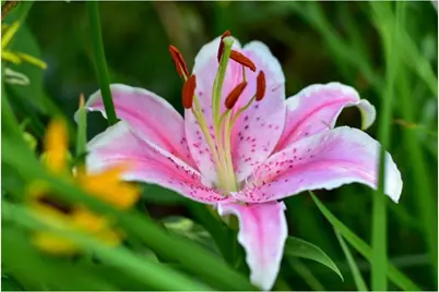 311 Monroe Avenue S, Edina, MN 55343 - Photo 52