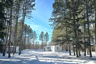 3193 Town Rd 397, International Falls, MN 56649 - Photo 2