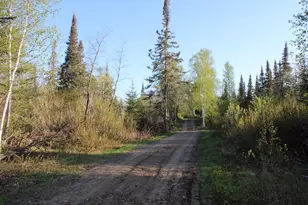 1339 Tom Lake Rd, Hovland, MN 55606 - Photo 16